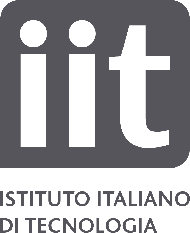 Istituto Italiano di Tecnologia (IIT) logo