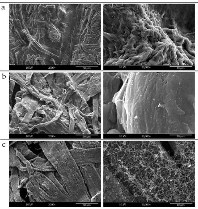 Electrosprayed nanochitins on cellulose tissue