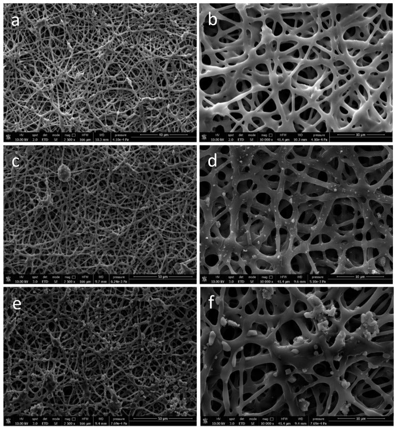 PHB/PHOHD meshes at increasing magnification
