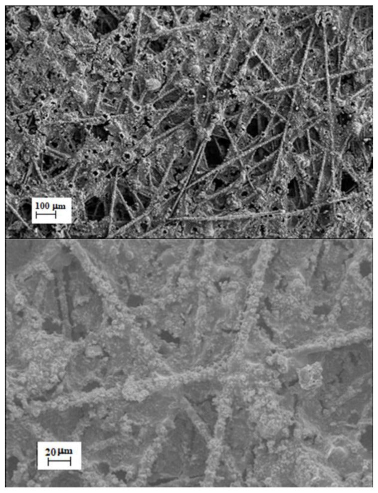 PSU-TMA / polyaniline fibres for metal-free electrodes