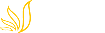 Linari Nanotech